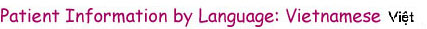 Vietnamese Language